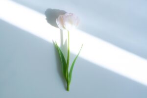 その「当たり前」に小さなハテナを。まとまらない言葉のなかに、あなたの「真実」が眠っています。