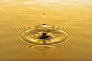 どれだけ自分を整えても、心が「カサカサ」と渇くとき。それはあなたが「本当の自分の声」を聴く一歩手前にいる証です。